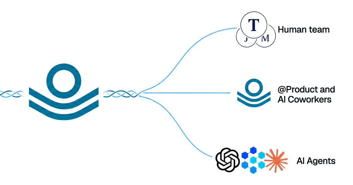 Kinelo distributing current knowledge out to the human team, AI Coworkers, and coding agents